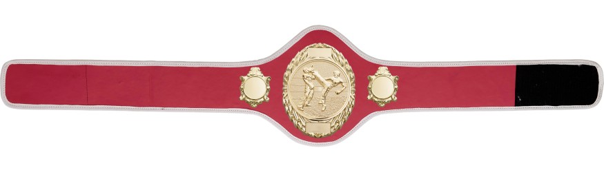 KICKBOXING CHAMPIONSHIP BELT-PRO286/G/KBOG-10+ COLOURS